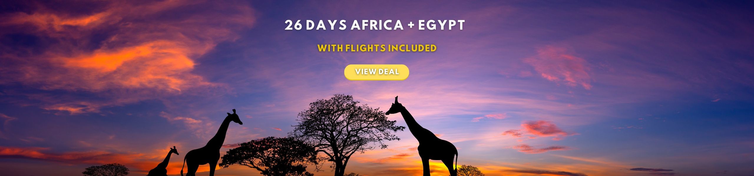 26 Day Africa