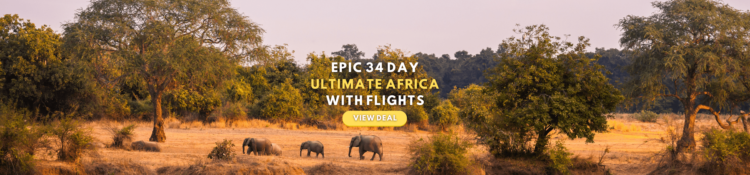 Africa Tour Packages With Flights