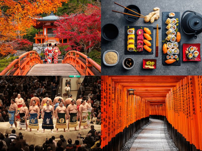 9 Day Japan Discovery Tour