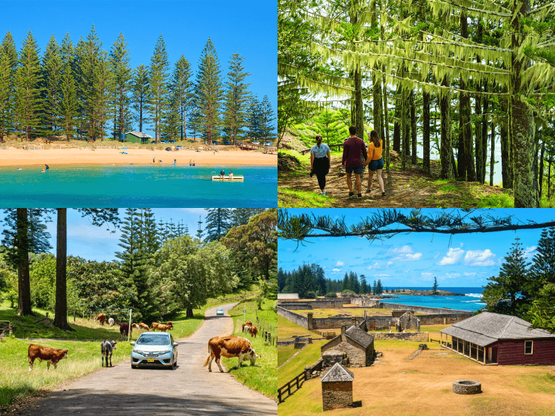 /photos/shares/NorfolkIsland/New/norfolk_island_beach.jpg